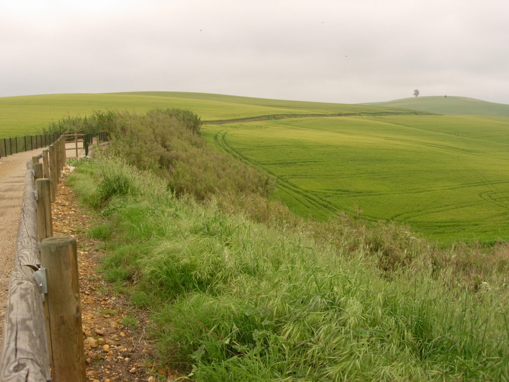 Vía verde de la Campiña